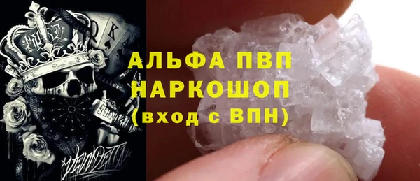 сатива Белоозёрский