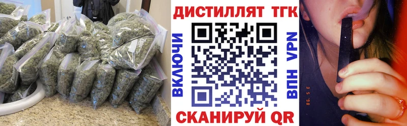 Купить где  Каневская  ТГК концентрат 